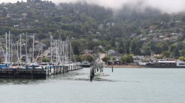 8-15-2021: Sausalito, California: Sausalito 'dan Tiburon' a yelken, Melek Adası, Alcatraz Adası, Golden Gate Köprüsü ve Körfez Köprüsü. Teknede Mathew Turner