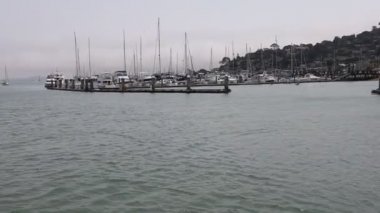 8-15-2021: Sausalito, California: Sausalito 'dan Tiburon' a yelken, Melek Adası, Alcatraz Adası, Golden Gate Köprüsü ve Körfez Köprüsü. Teknede Mathew Turner
