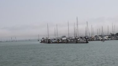 8-15-2021: Sausalito, California: Sausalito 'dan Tiburon' a yelken, Melek Adası, Alcatraz Adası, Golden Gate Köprüsü ve Körfez Köprüsü. Teknede Mathew Turner