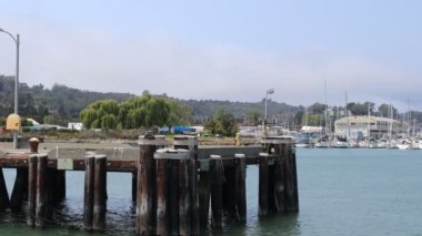 8-15-2021: Sausalito, California: Sausalito 'dan Tiburon' a yelken, Melek Adası, Alcatraz Adası, Golden Gate Köprüsü ve Körfez Köprüsü. Teknede Mathew Turner