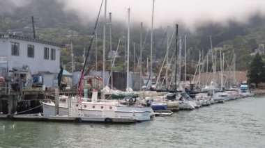 8-15-2021: Sausalito, California: Sausalito 'dan Tiburon' a yelken, Melek Adası, Alcatraz Adası, Golden Gate Köprüsü ve Körfez Köprüsü. Teknede Mathew Turner