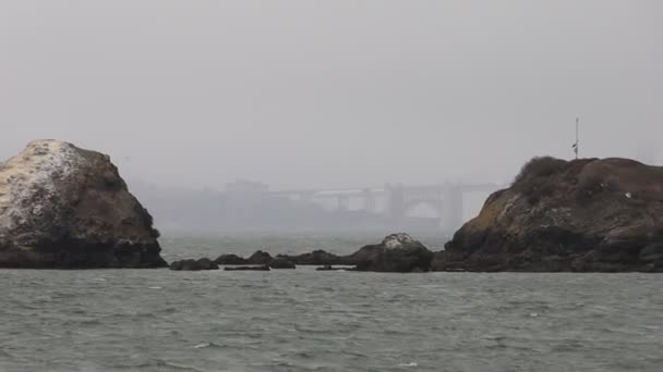 2021 Sausalito Kalifornia Vitorlázz Sausalitóból Tiburonba Angyal Szigetre Alcatraz Szigetre — Stock videók