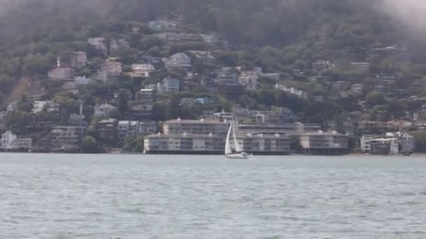 2021 Sausalito Kalifornia Popłyń Sausalito Tiburon Angel Island Alcatraz Island — Wideo stockowe