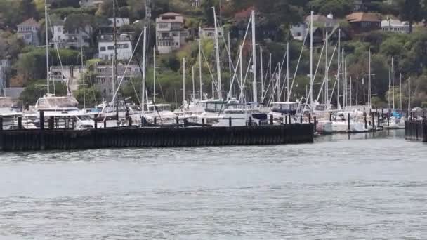 2021 Sausalito Kalifornia Popłyń Sausalito Tiburon Angel Island Alcatraz Island — Wideo stockowe