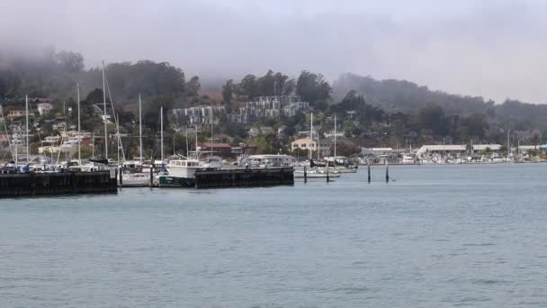 2021 Sausalito California Sausalito Dan Tiburon Yelken Melek Adası Alcatraz — Stok video