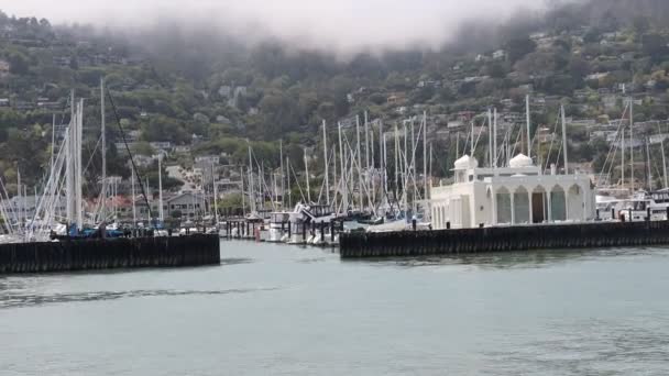 2021 Sausalito Californie Naviguez Sausalito Tiburon Île Ange Île Alcatraz — Video