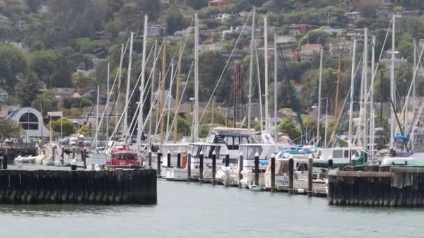 2021 Sausalito Californie Naviguez Sausalito Tiburon Île Ange Île Alcatraz — Video