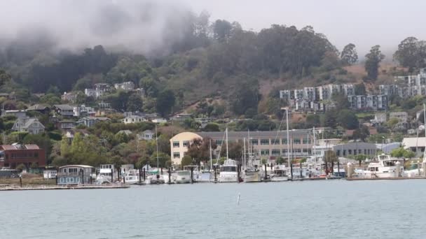 2021 Sausalito California Navega Sausalito Tiburón Isla Ángel Isla Alcatraz — Vídeo de stock