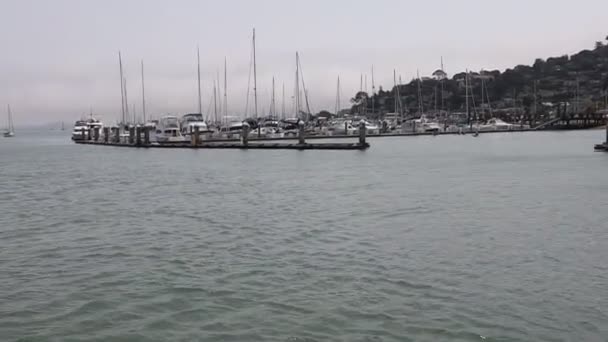 2021 Sausalito California Sail Sausalito Tiburon Angel Island Alcatraz Island — Stock Video