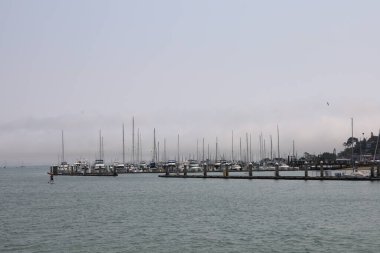 8-15-2021: Sausalito, California: Sausalito 'dan Tiburon' a yelken, Melek Adası, Alcatraz Adası, Golden Gate Köprüsü ve Körfez Köprüsü. Teknede Mathew Turner