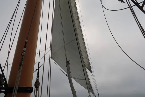 2021 Sausalito California Sail Sausalito Tiburon Angel Island Alcatraz Island — Stock Photo, Image