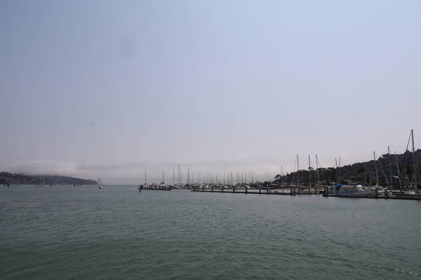 2021 Sausalito California Sausalito Dan Tiburon Yelken Melek Adası Alcatraz — Stok fotoğraf