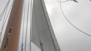 8-15-2021: Sausalito, California: Sausalito 'dan Tiburon' a yelken, Melek Adası, Alcatraz Adası, Golden Gate Köprüsü ve Körfez Köprüsü. Teknede Mathew Turner