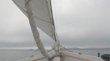 8-15-2021: Sausalito, California: Sausalito 'dan Tiburon' a yelken, Melek Adası, Alcatraz Adası, Golden Gate Köprüsü ve Körfez Köprüsü. Teknede Mathew Turner