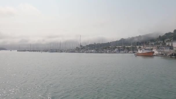 2021 Sausalito Californie Naviguez Sausalito Tiburon Île Ange Île Alcatraz — Video