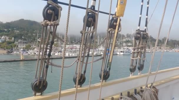2021 Sausalito California Sail Sausalito Tiburon Angel Island Alcatraz Island — стокове відео