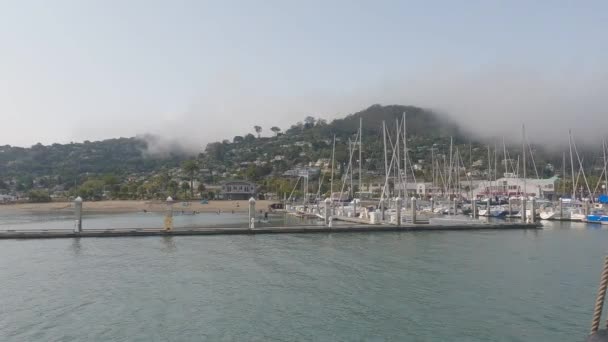 2021 Sausalito Kalifornia Vitorlázz Sausalitóból Tiburonba Angyal Szigetre Alcatraz Szigetre — Stock videók