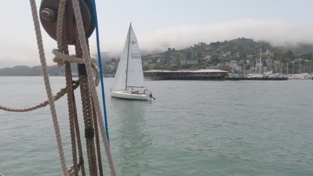 2021 Sausalito Californie Naviguez Sausalito Tiburon Île Ange Île Alcatraz — Video