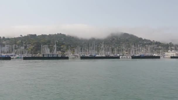 2021 Sausalito Californie Naviguez Sausalito Tiburon Île Ange Île Alcatraz — Video