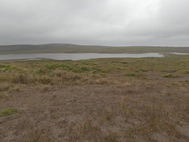 Point Reyes Ulusal Sahili Fotoğraf: Kaliforniya