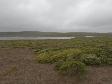 Point Reyes Ulusal Sahili Fotoğraf: Kaliforniya
