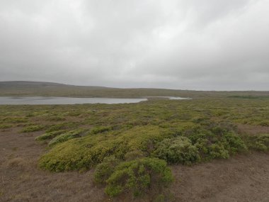 Point Reyes Ulusal Sahili Fotoğraf: Kaliforniya