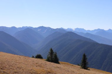 Olimpiyat Ulusal Parkı 'ndaki Kasırga Sırtı Fotoğrafı: Washington