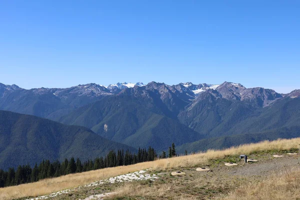 Foto Hurricane Ridge Parque Nacional Olímpico Washington — Foto de Stock