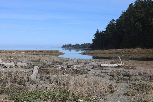 Zdjęcie Parku Dungeness Rezerwatu Przyrody — Zdjęcie stockowe