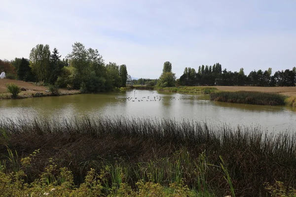 Foto Van Dungeness Park Natuurreservaat Van Staat — Stockfoto