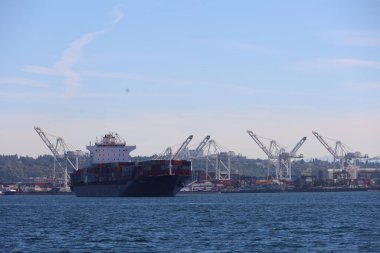 10-21-2021: Seattle, Washington: Seattle şehir merkezi yakınlarındaki gölde yelken açmak