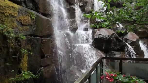 Ups Waterfall Seattle Washington — Stock Video