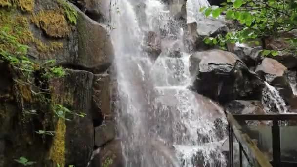 Ups Waterfall Seattle Washington — Stock Video