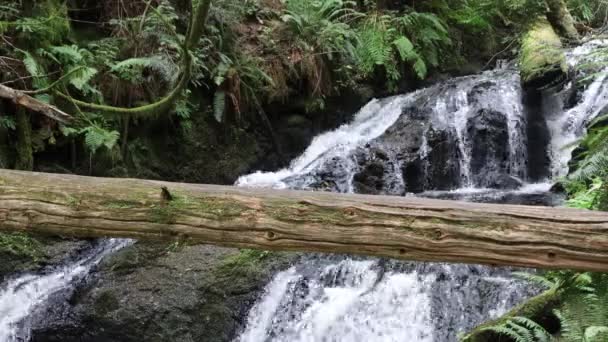 Ludlow Water Falls Washington — Stock video