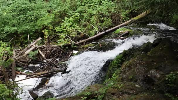 Ludlow Water Falls Washington — Vídeos de Stock