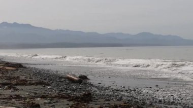 Dungeness tükürüp muhafaza ediyor, Washington