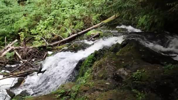 Ludlow Water Falls Washington — Vídeo de Stock