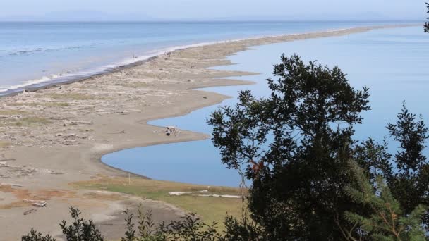 Dungeness Spit Washington — стокове відео