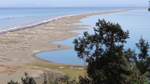 Dungeness Spit Nature Washington — стокове відео