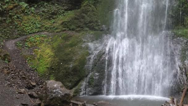 Waterfalls Olympic National Park Washington — Stock Video