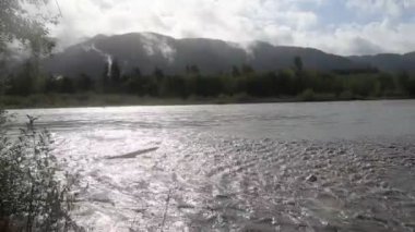 Hoh Nehri ve Ormanı, Olimpiyat Ulusal Parkı, Washington