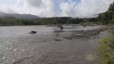 Hoh Nehri ve Ormanı, Olimpiyat Ulusal Parkı, Washington