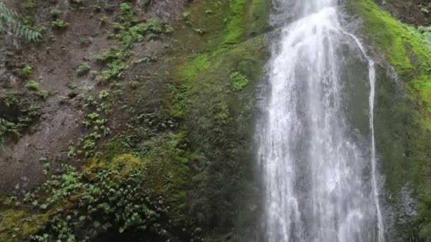 Водопады Олимпийского Национального Парка Штата Вашингтон — стоковое видео