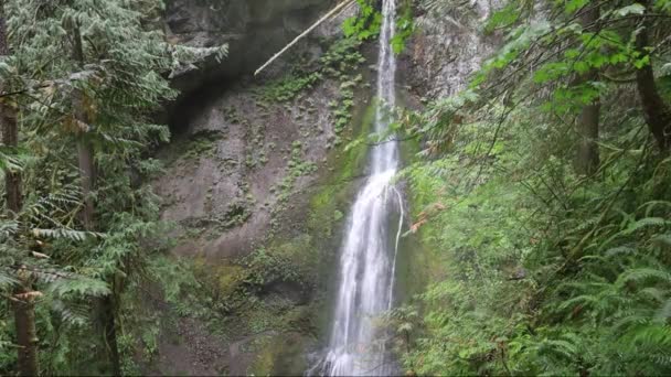 Cachoeiras Parque Nacional Olímpico Washington — Vídeo de Stock