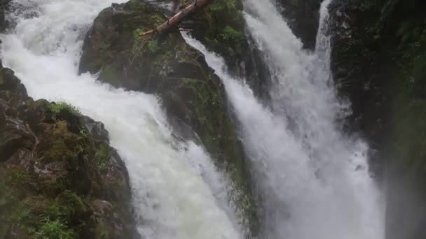 Cachoeiras Parque Nacional Olímpico Washington — Vídeo de Stock