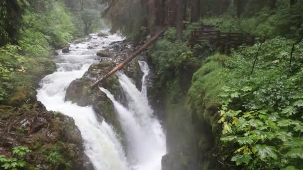 Olimpiyat Ulusal Parkında Şelaleler Washington — Stok video