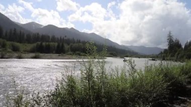 Hoh Nehri ve Ormanı, Olimpiyat Ulusal Parkı, Washington