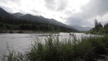 Hoh Nehri ve Ormanı, Olimpiyat Ulusal Parkı, Washington