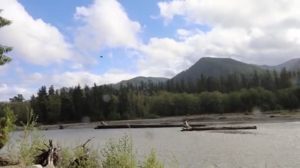 Time Lapse Fotografia Nuvole Nella Foresta Hoh Parco Nazionale Olimpico — Video Stock