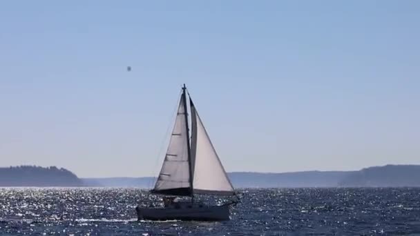 Sailing Lake Union Washington Σκρατλ Ουάσιγκτον — Αρχείο Βίντεο